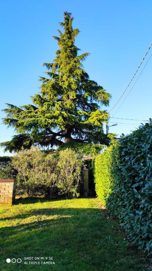 Il Cedro Panzió San Pier d'Isonzo Kültér fotó